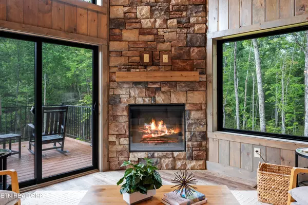 Cosby, TN 37722,2671 Switchback Way