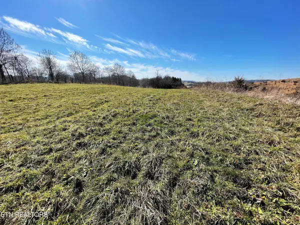 Parrottsville, TN 37843,4 Acres Highway 321