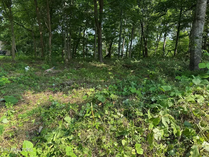 0 Black Oak Estate Rd, Dayton, TN 37321
