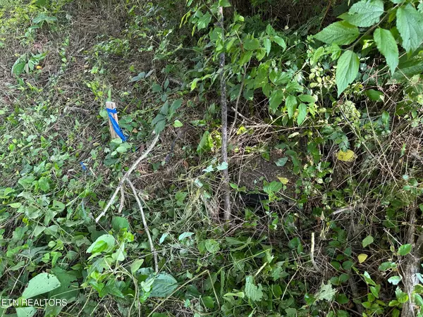 Dayton, TN 37321,0 Black Oak Estate Rd