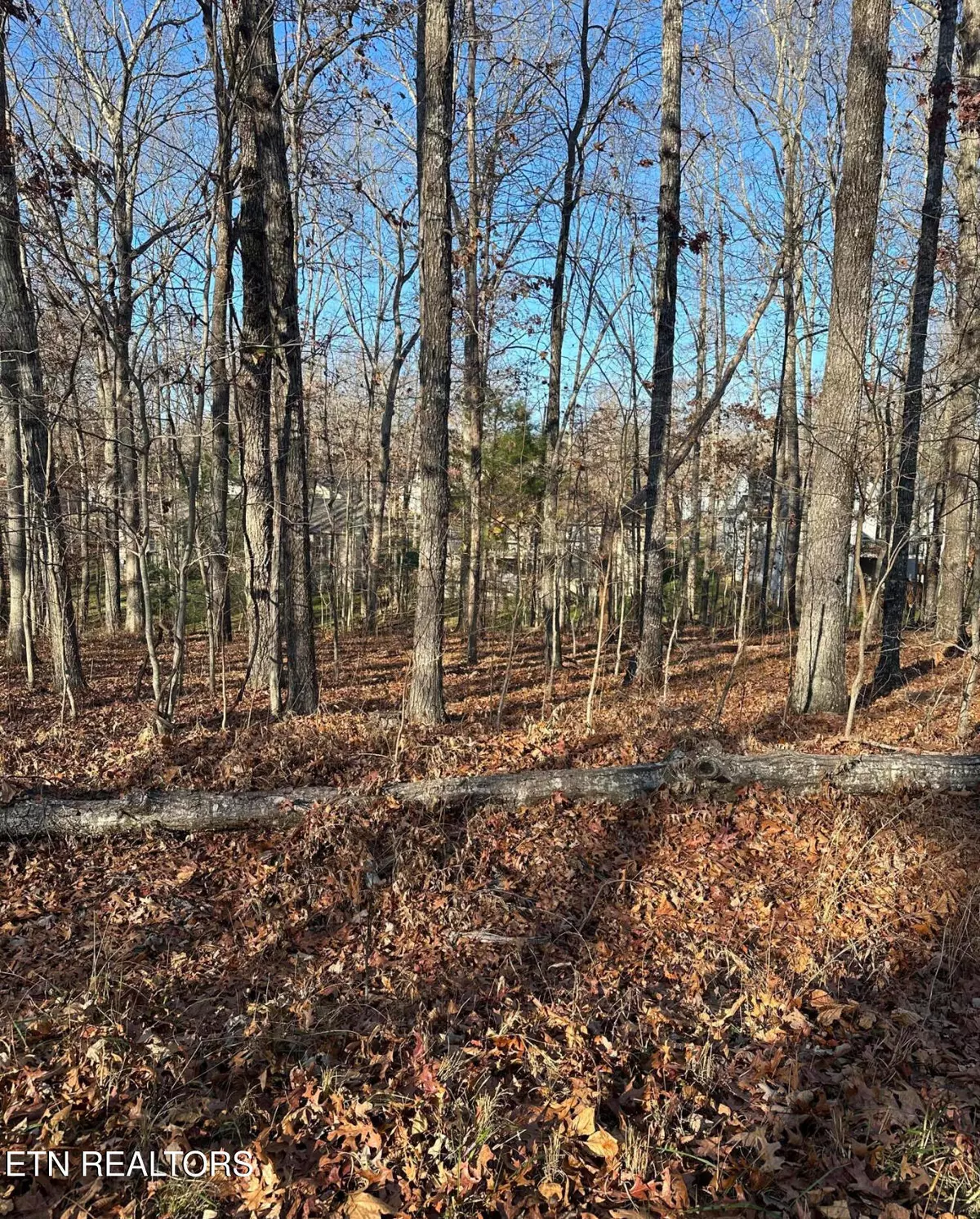 Crossville, TN 38558,139 Hamlet DR