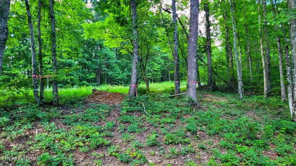 Spring City, TN 37381,1139 Chestnut Ridge Rd