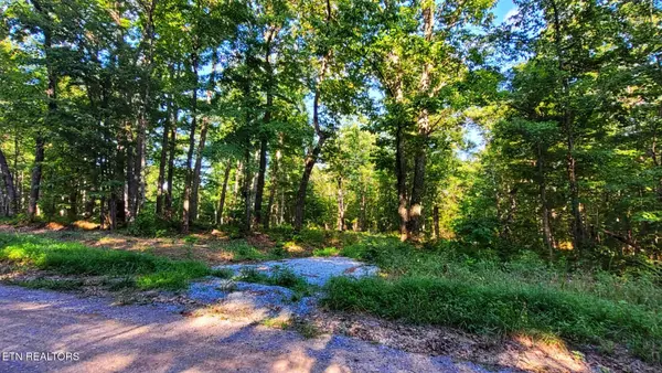 Spring City, TN 37381,1139 Chestnut Ridge Rd