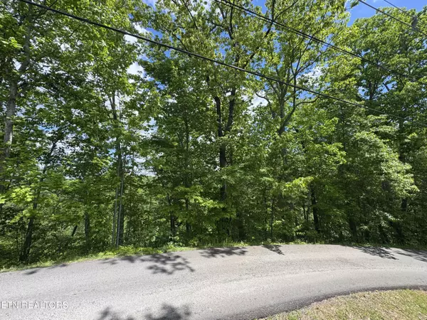Sevierville, TN 37876,1806 High View CT