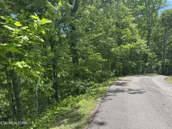 Sevierville, TN 37876,1806 High View CT