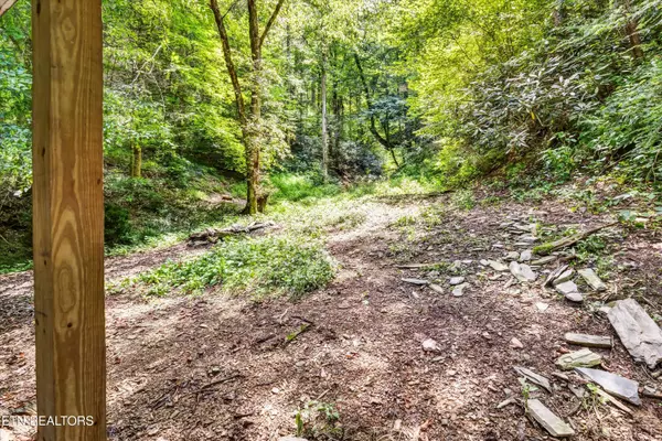 Sevierville, TN 37876,4138 Richardson Cove Rd