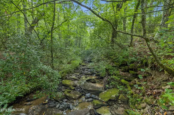 Sunbright, TN 37872,0 Burville Rd