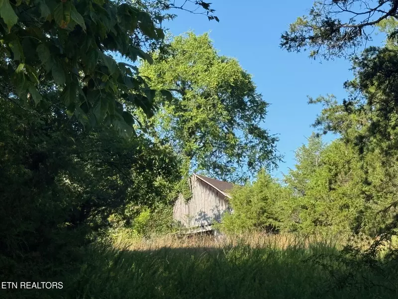 Alex Bales (39.31 acres) Rd, Kodak, TN 37764