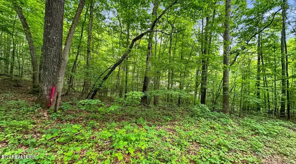 Maynardville, TN 37807,Lot 1 Graves Hollow Rd