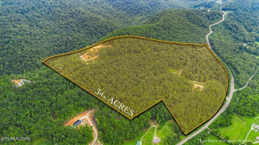 143 Elk Ridge LN, Pioneer, TN 37847