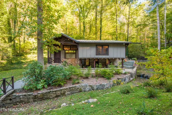 Townsend, TN 37882,259 Black Mash Hollow Rd