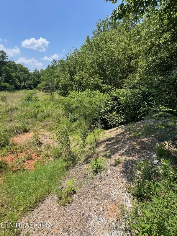 Rocky Top, TN 37769,626-632 Briceville Hwy
