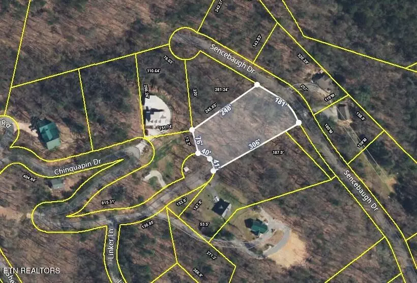 Chinquapin, Sevierville, TN 37876