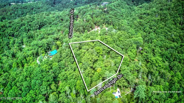 Sevierville, TN 37876,Chinquapin