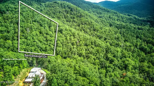 Sevierville, TN 37876,Sencebaugh DR