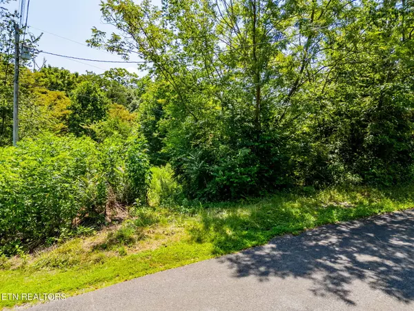 Talbott, TN 37877,Lot 7 Jeffrey LN