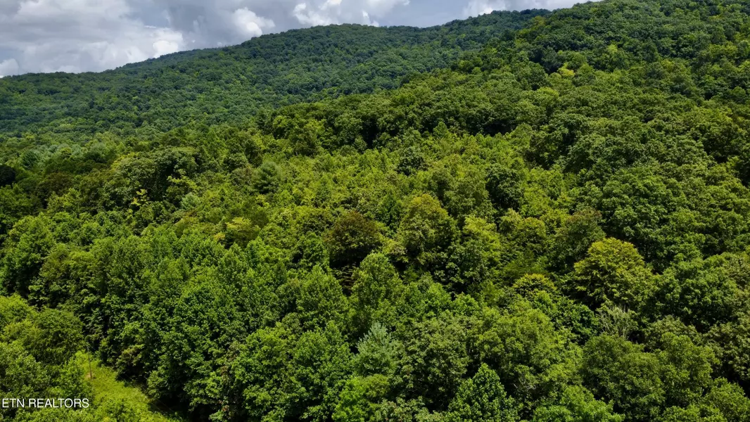 Rockhouse Creek - Church Rd, Pioneer, TN 37847