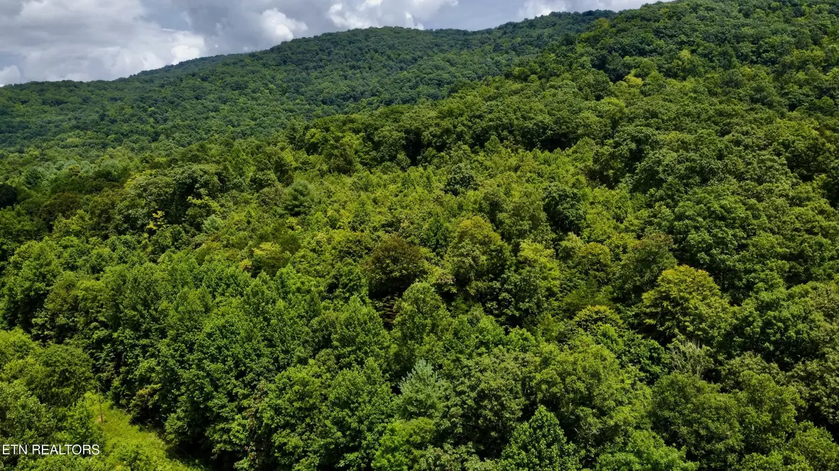 Pioneer, TN 37847,Rockhouse Creek - Church Rd