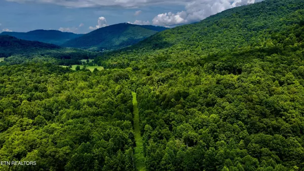 Pioneer, TN 37847,Rockhouse Creek - Church Rd