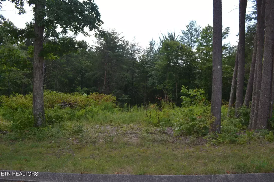 0 Countryside DR, Dunlap, TN 37327
