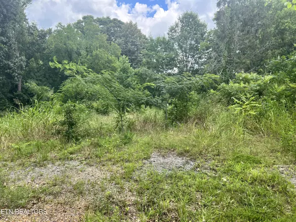 Knoxville, TN 37918