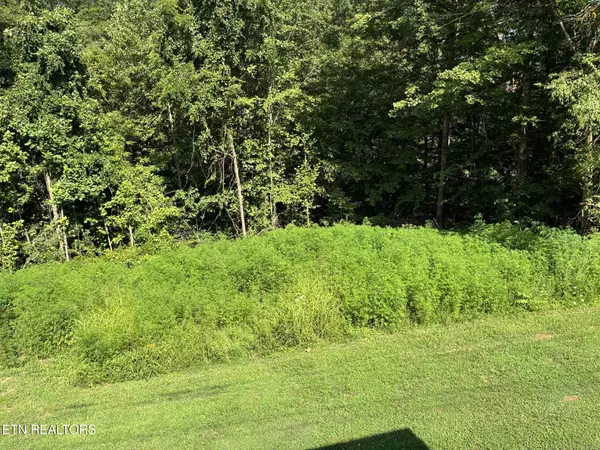 Sharps Chapel, TN 37866,142 Mcnerling LN