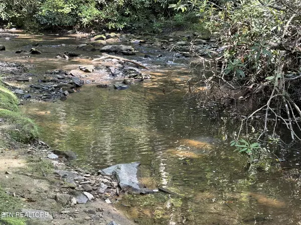 Tellico Plains, TN 37385,219 Gold Miners Rd