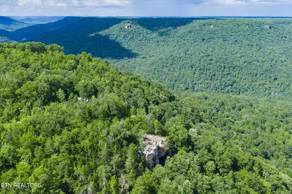 1136 Parkstown Ext, Wilder, TN 38589