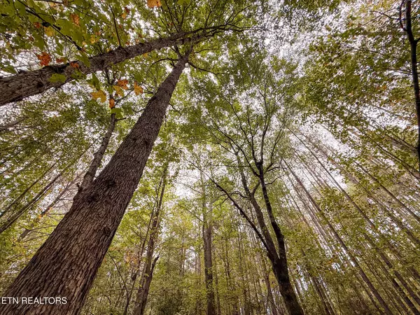 Rockwood, TN 37854,Lot 27 Airport Rd