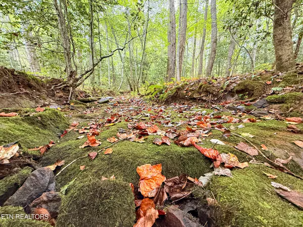 Rockwood, TN 37854,Lot 26 Airport Rd