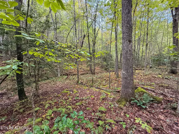 Rockwood, TN 37854,Lot 26 Airport Rd
