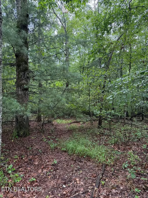929 Kemah Ln, Crossville, TN 38572