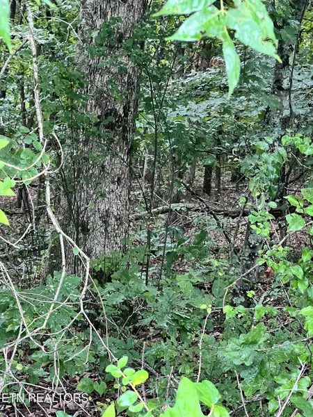 Lot 11 Willie Prigmore Rd, Decatur, TN 37322