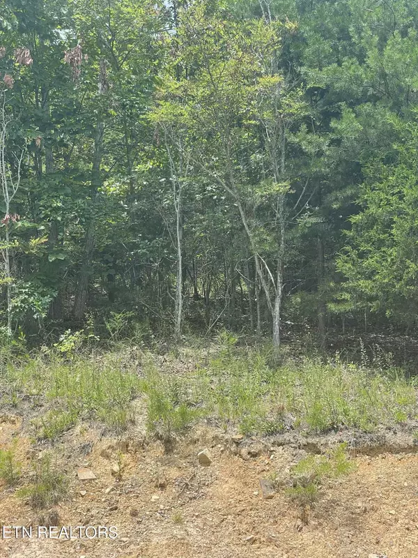 New Tazewell, TN 37825,Lot 673 Chimney Rock Rd