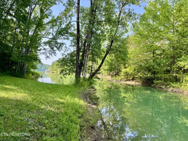 Sevierville, TN 37876,2431 McQueen WAY