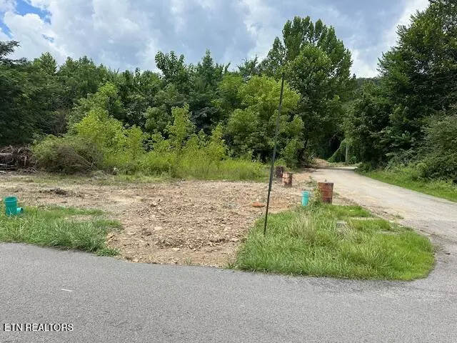 Wallins, KY 40873,Mexico LN