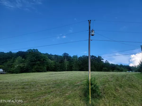 Spring City, TN 37381,Lot 32 Hinch St