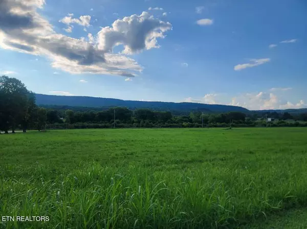 Spring City, TN 37381,Lot 32 Hinch St
