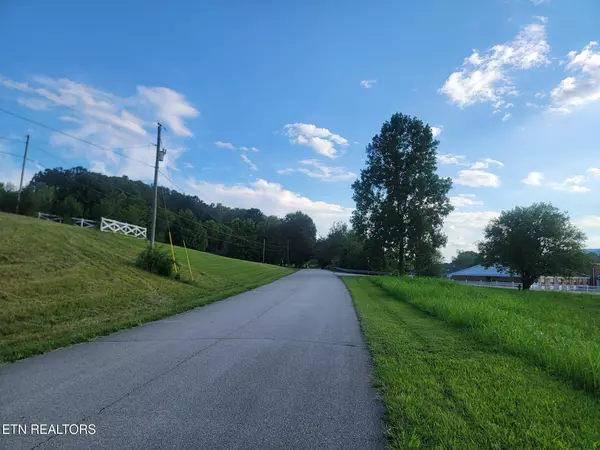 Spring City, TN 37381,Lot 32 Hinch St