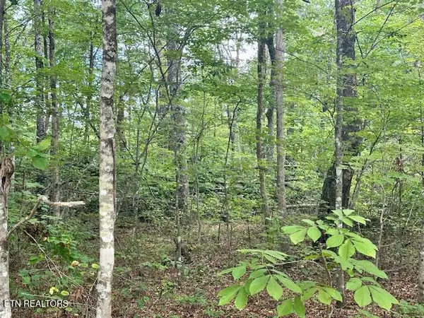 Monterey, TN 38574,0 Cumberland Lakes DR