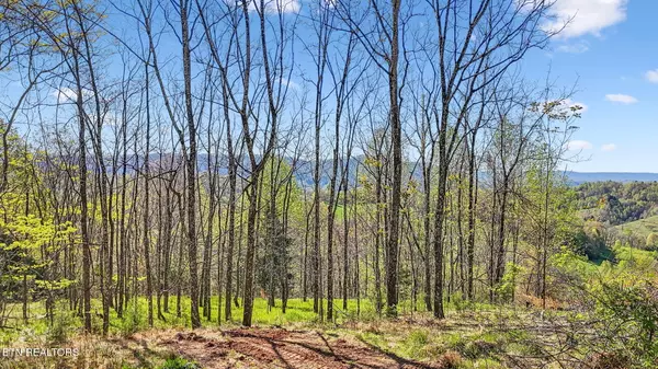 Tazewell, TN 37879,0 Bailey Cemetery Rd
