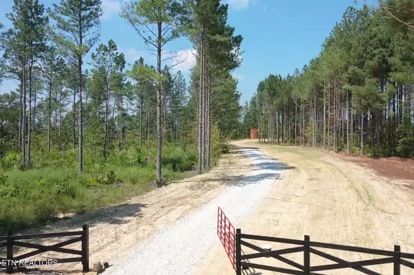 Sunbright, TN 37872,Davis Rd