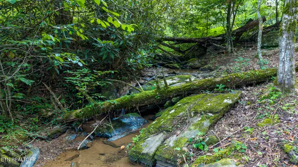 Tellico Plains, TN 37385,00 Cane Creek Mtn Rd