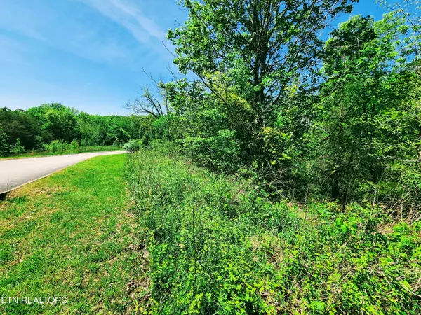 Kingston, TN 37763,Melea LN