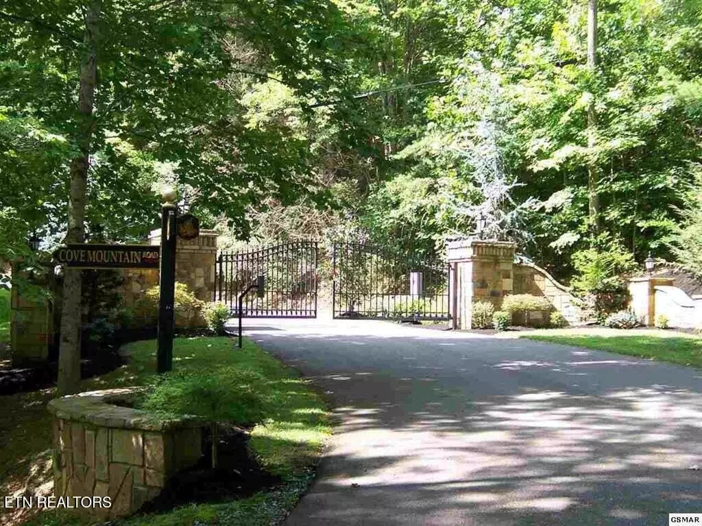 Gatlinburg, TN 37738,Lot 4 Enclave Park WAY