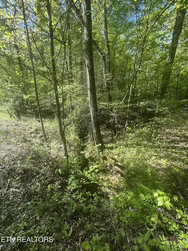 Spring City, TN 37381,0 Lake Overlook DR
