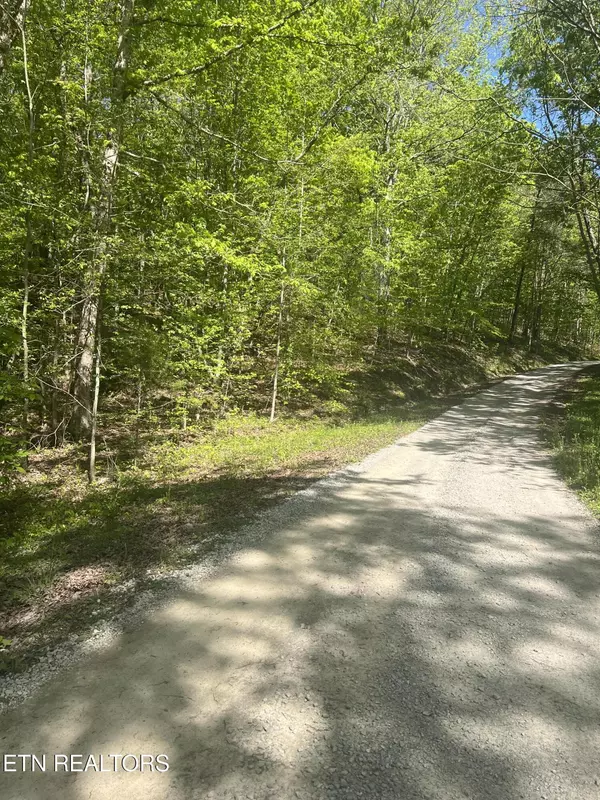 Spring City, TN 37381,0 Lake Overlook DR