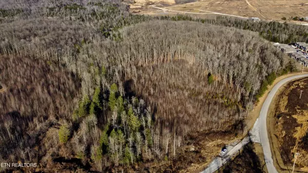 Oneida, TN 37841,Bear Creek 030 010.00 (Lot 8) Rd