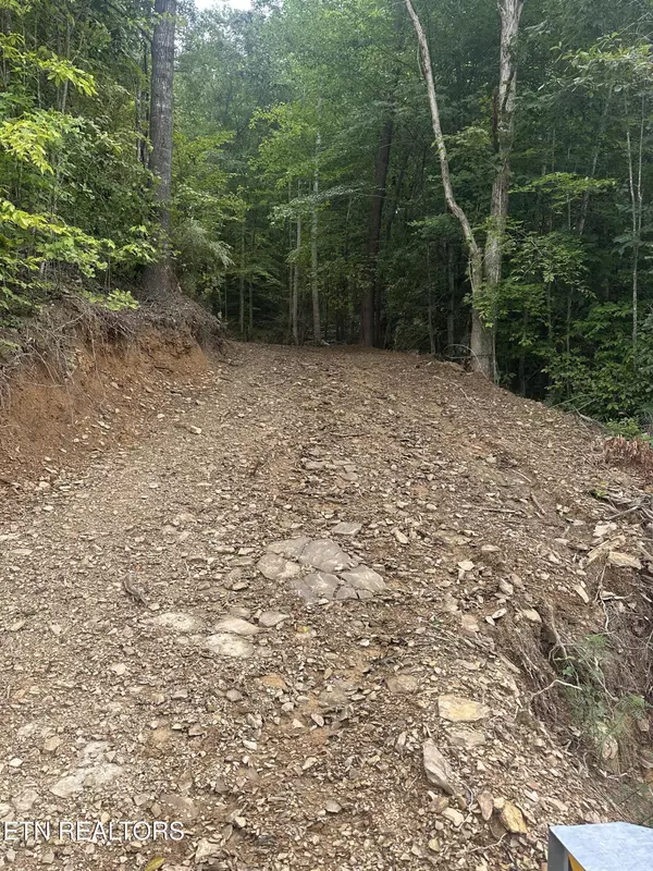 Lot 4 US HWY 119, Calvin, KY 40813