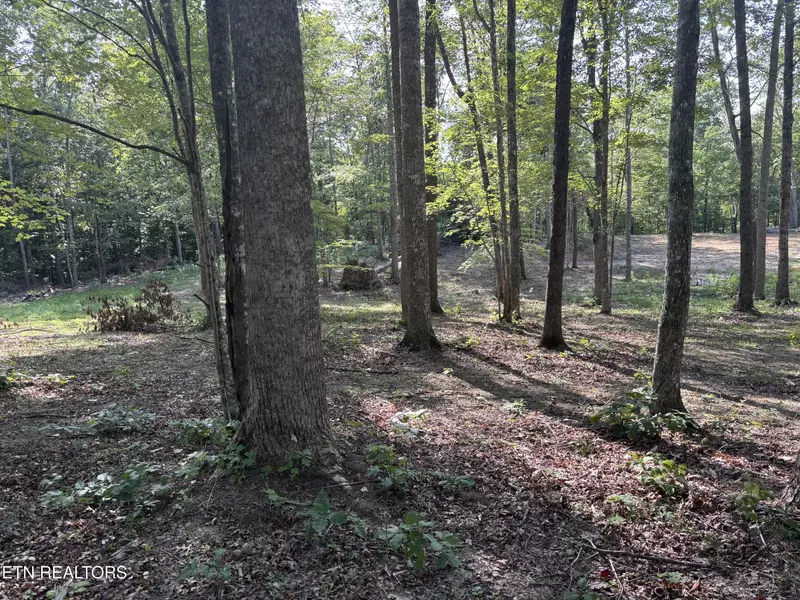 Eagle Ridge PVT Rd, Huntsville, TN 37756